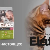 Удобный зоомагазин Планета Зоо на улице Победы Фото 2 на проекте VetSpravka.ru Удобный зоомагазин Планета Зоо на улице Победы Фото 2 на проекте VetSpravka.ru