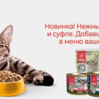 Удобный зоомагазин Планета Зоо на улице Пушкина Фото 2 на проекте VetSpravka.ru Удобный зоомагазин Планета Зоо на улице Пушкина Фото 2 на проекте VetSpravka.ru